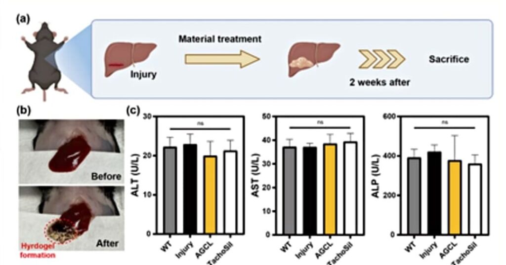agente hemostático en polvo ultrarrápido para hemorragias