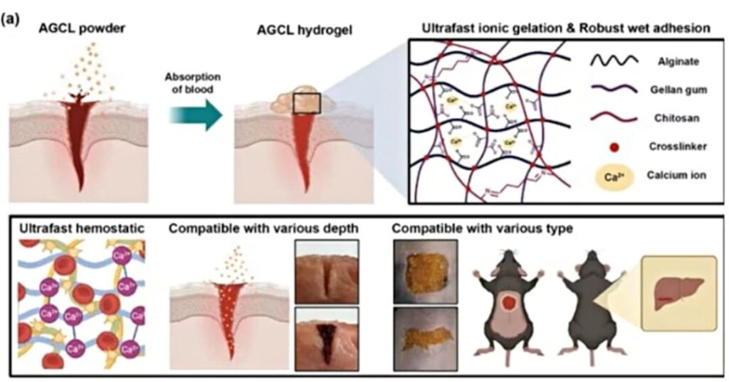 agente hemostático en polvo ultrarrápido para hemorragias