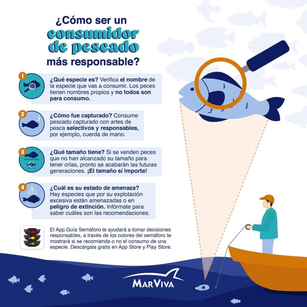 app guía semáforo MarViva