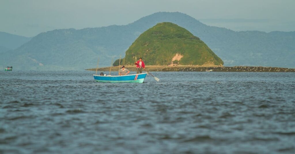 app guía semáforo MarViva