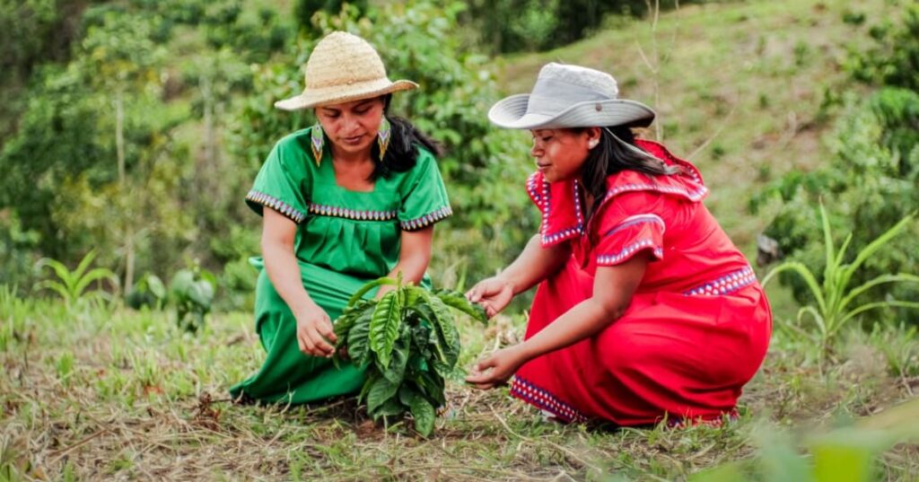 convocatoria donativos ambientales Ford 2026