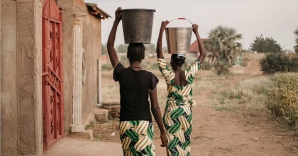 empresa social AUARA