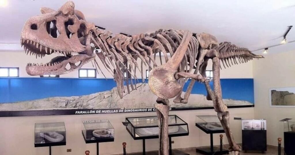 huellas de dinosaurios fosilizadas en Cal Orck'o