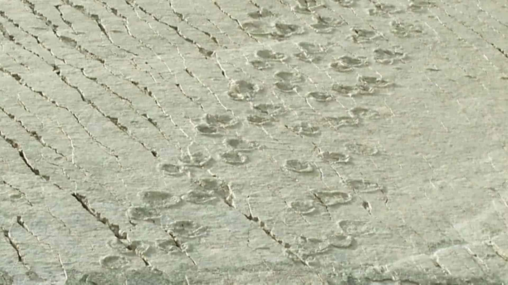 huellas de dinosaurios fosilizadas en Cal Orck'o