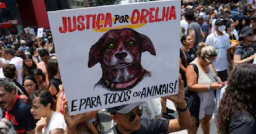 ley de maltrato animal en Brasil