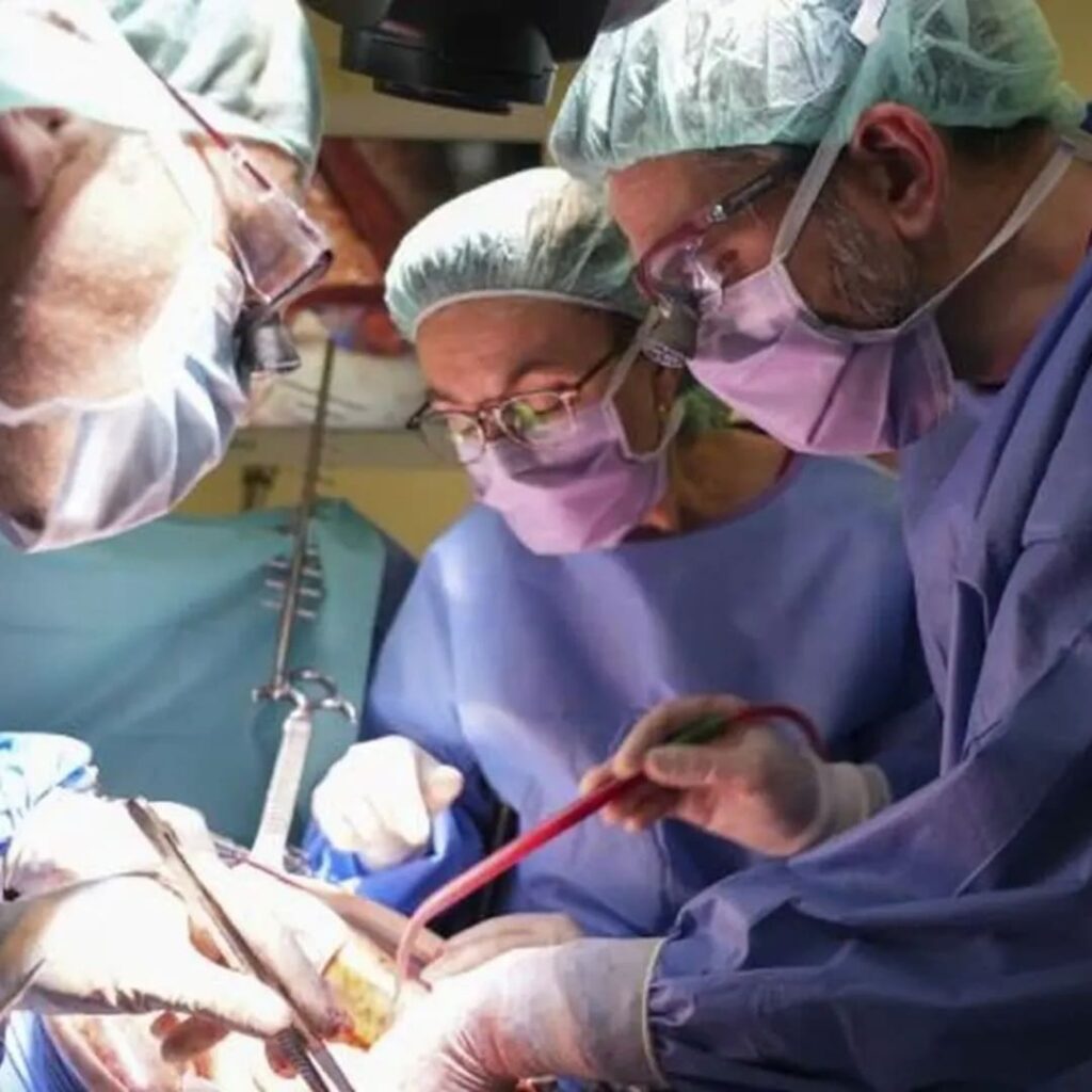 técnica pionera de doble bypass vascular