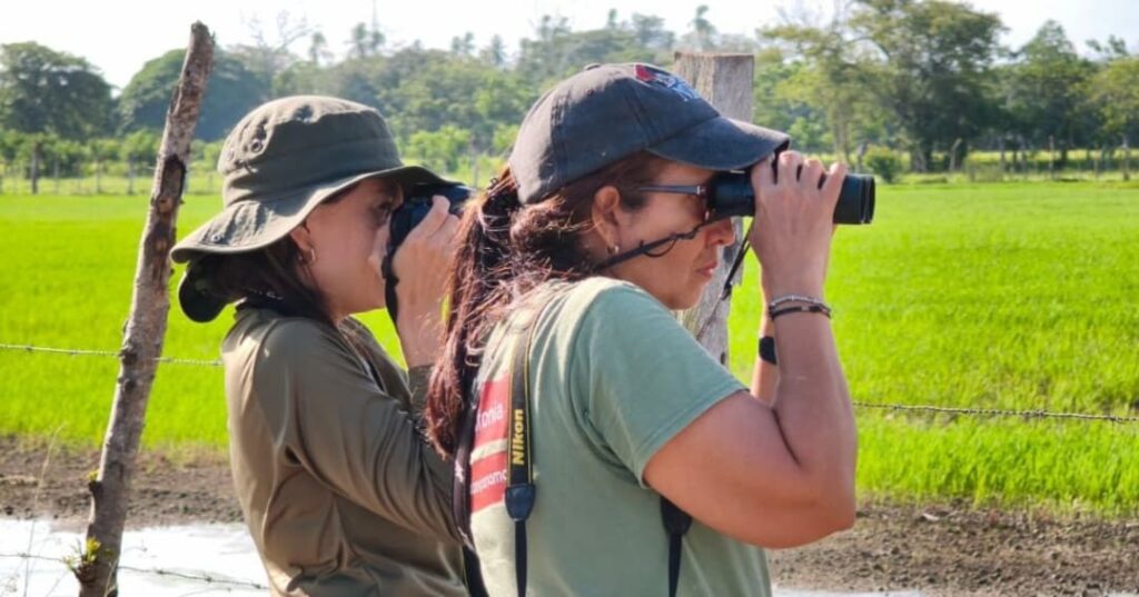 Panamá líder mundial en observación de aves