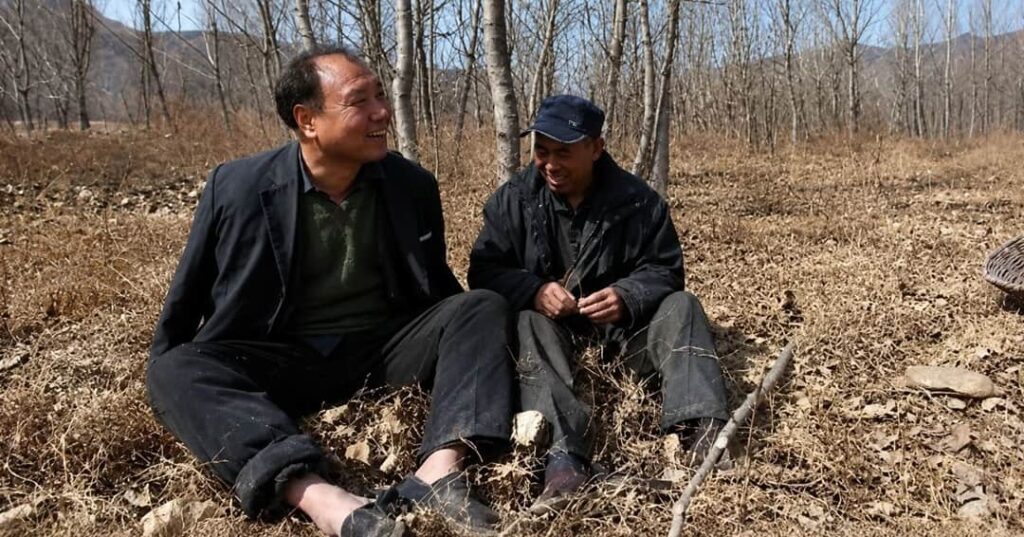 dos amigos con discapacidades reforestan en China