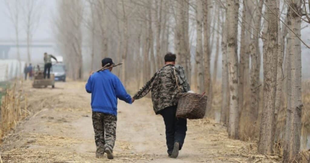 dos amigos con discapacidades reforestan en China