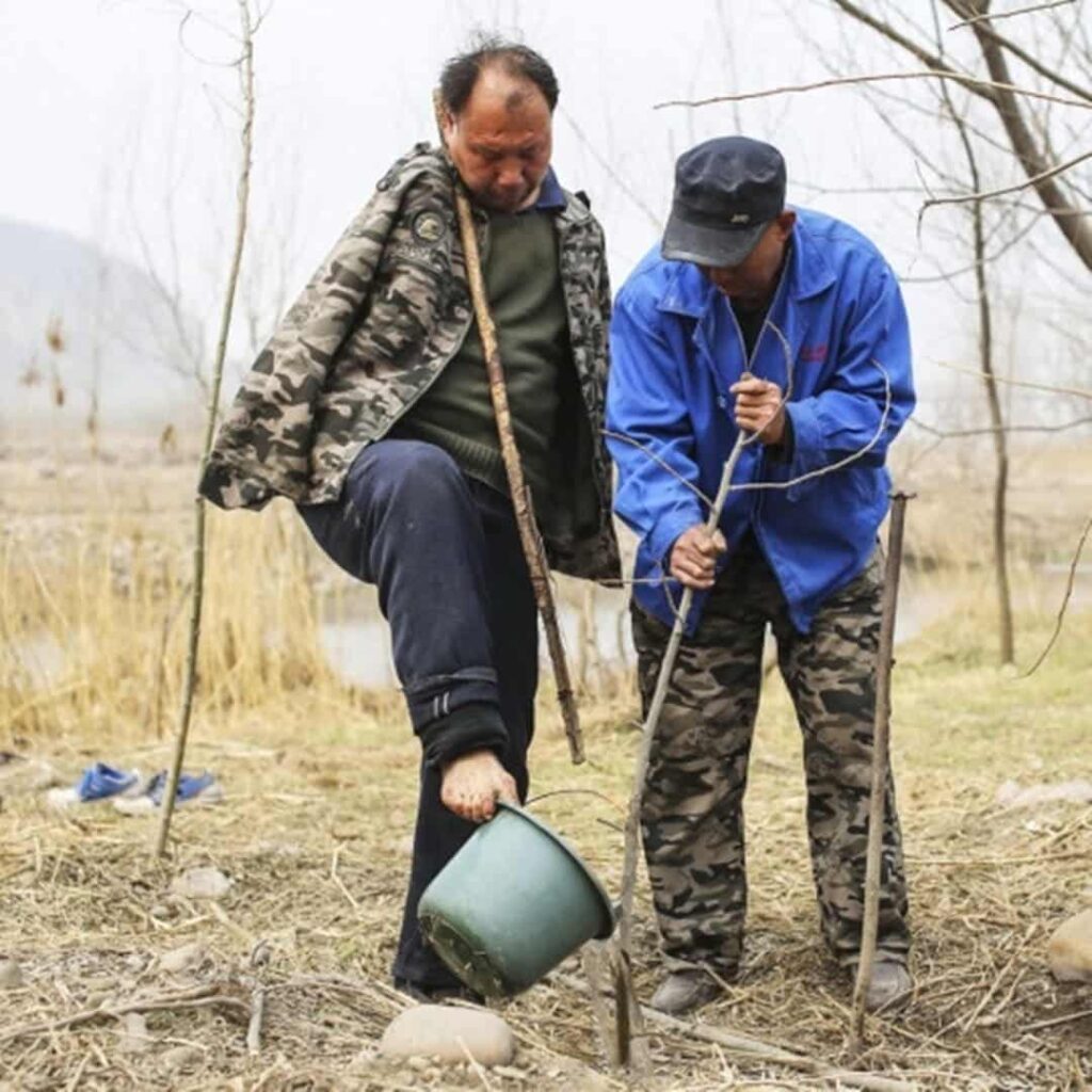 dos amigos con discapacidades reforestan en China