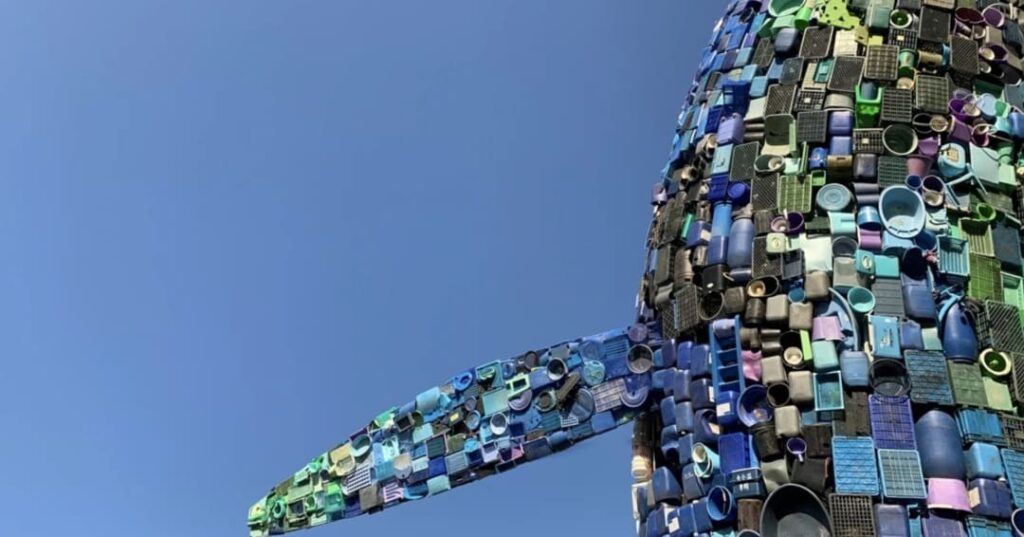 eco-art como activismo ambiental y conservación ecológica