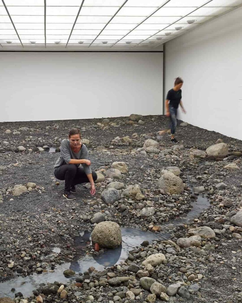 eco-art como activismo ambiental y conservación ecológica