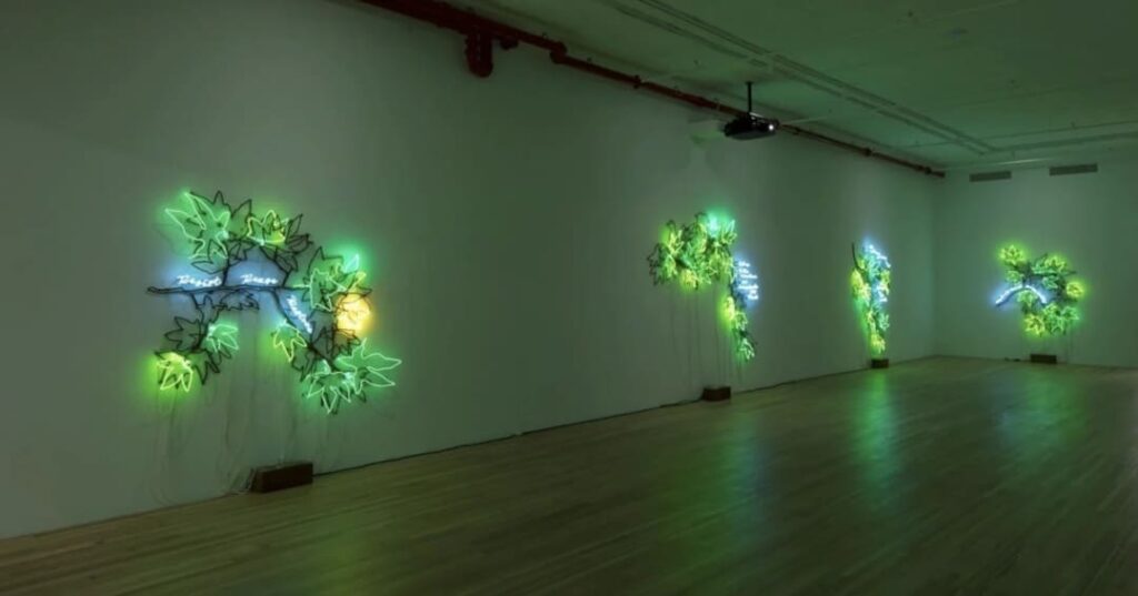 eco-art como activismo ambiental y conservación ecológica
