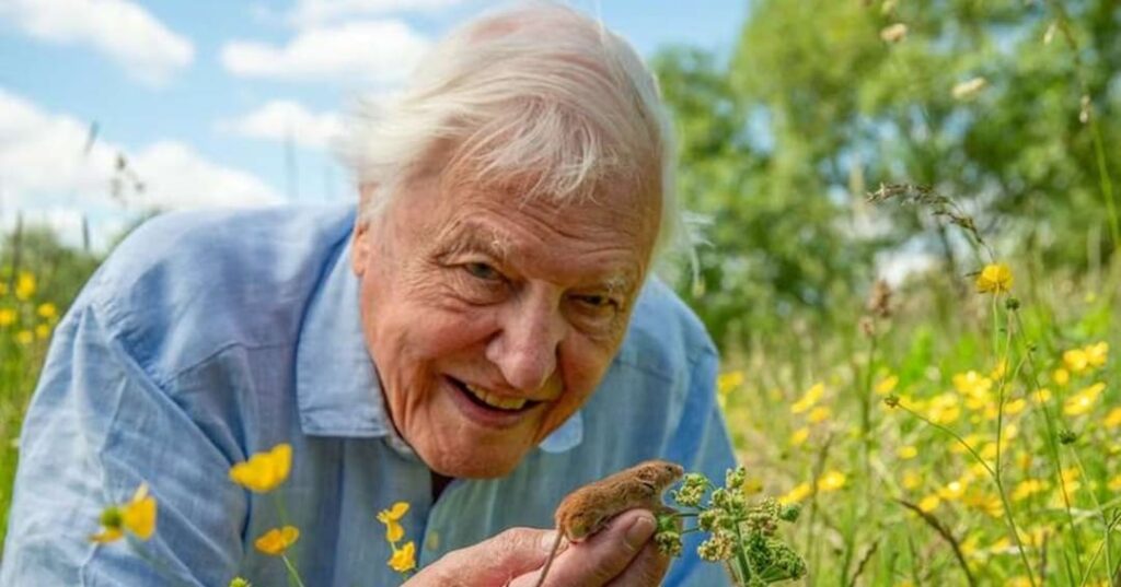 legado de David Attenborough