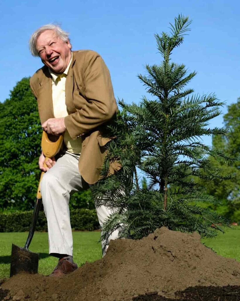 legado de David Attenborough