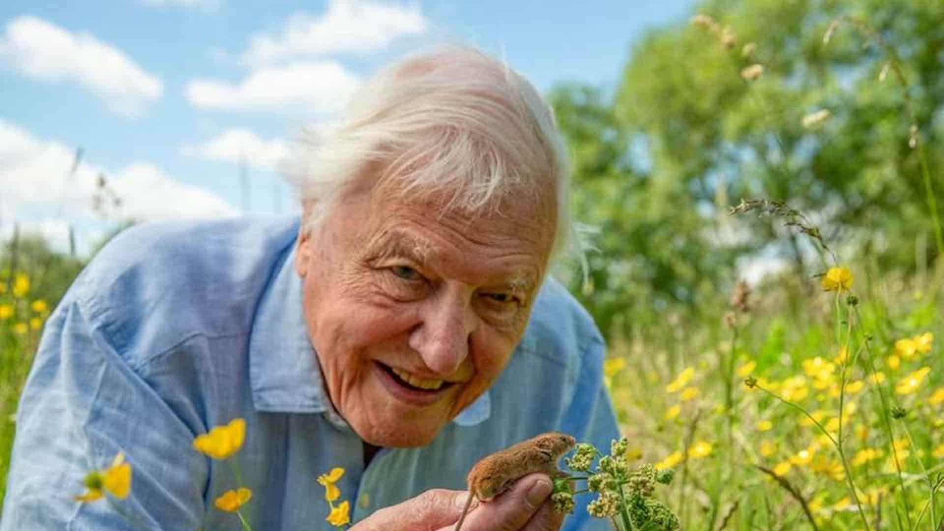 legado de David Attenborough