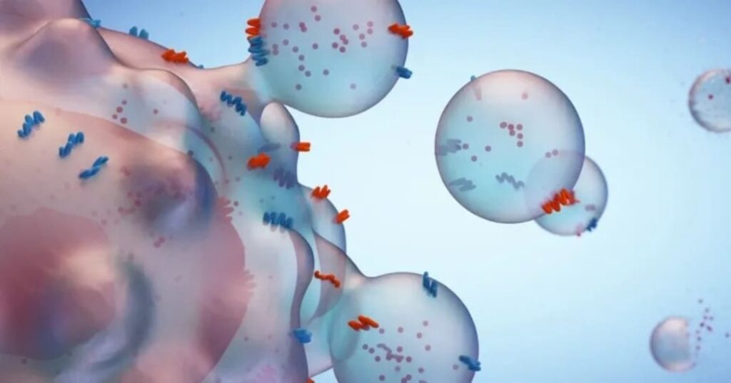 lentes de contacto inteligentes para detectar cáncer