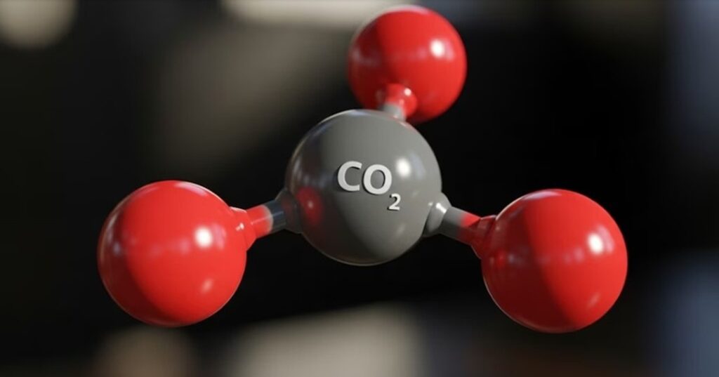 material de carbono vicazitas