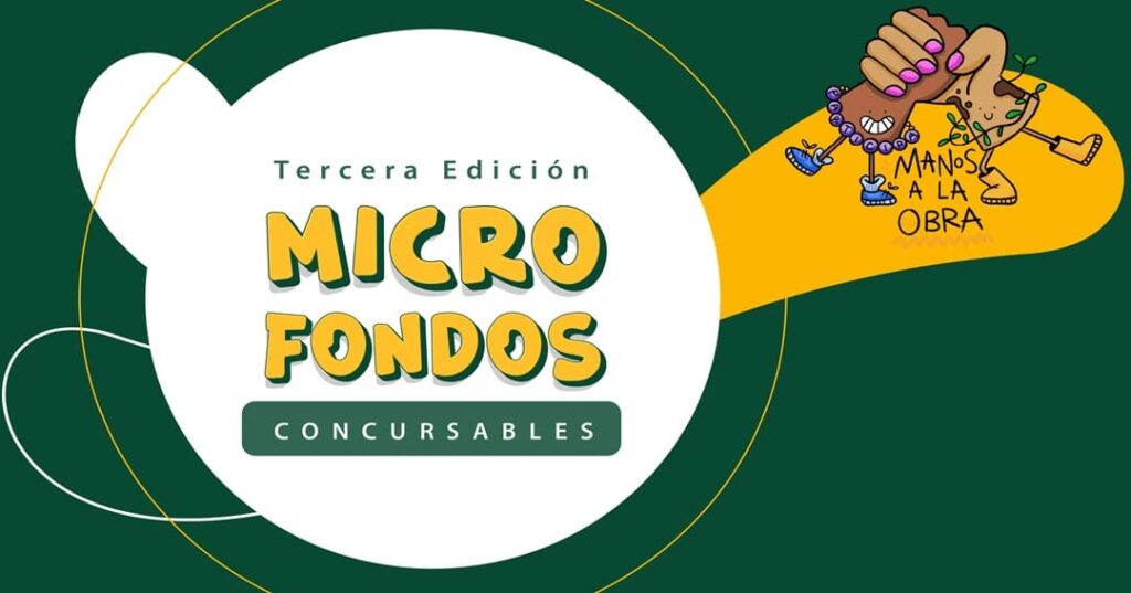 microfondos concursables para jóvenes emprendedores