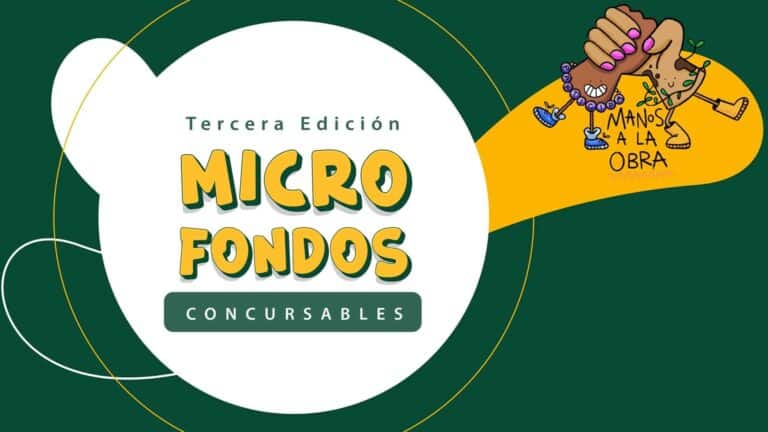 microfondos concursables para jóvenes emprendedores