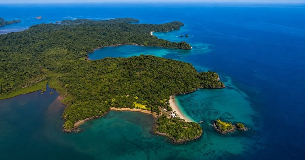nacimiento de tortugas carey en Parque Nacional Coiba