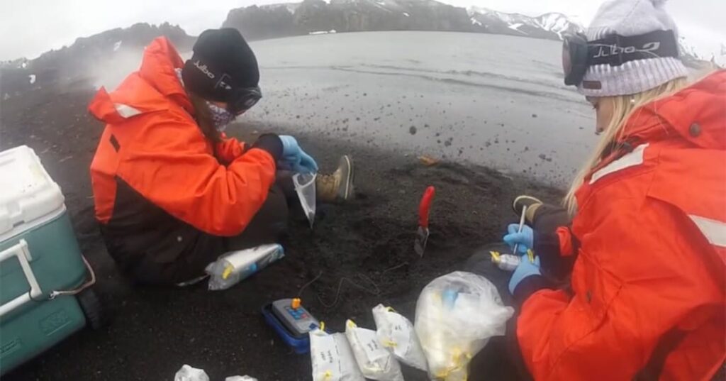 Nueva arquea en volcán antártico desafía los límites de la vida 3 nueva especie de arquea en un volcán antártico