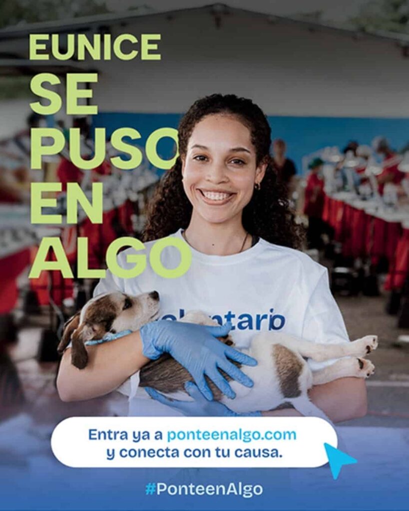 Voluntariado en Panamá: 290+ causas te esperan 5 plataforma de voluntariado en Panamá