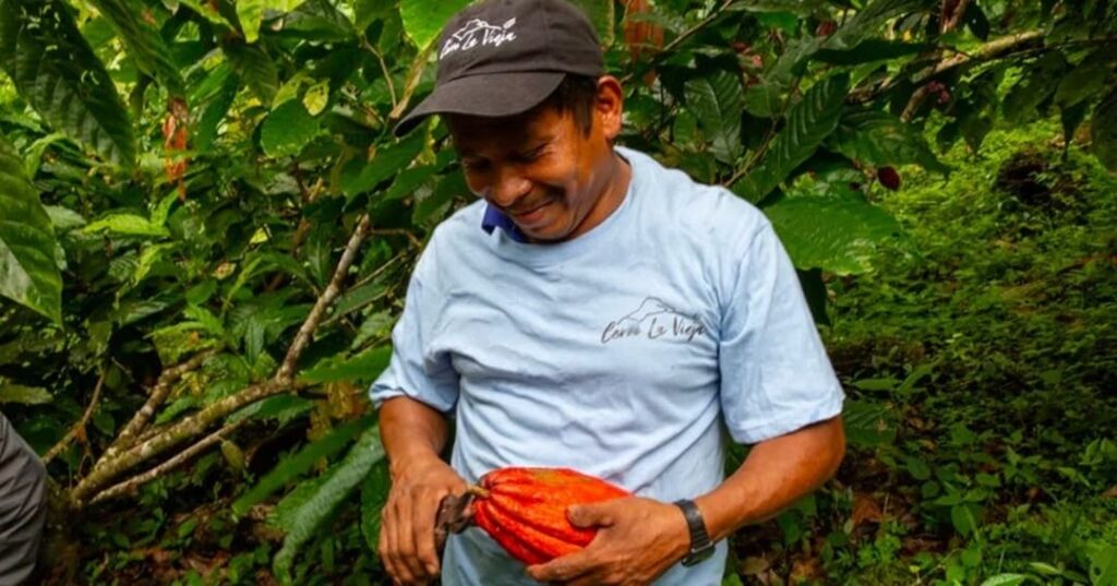 primer cacao certificado Bird Friendly en Panamá