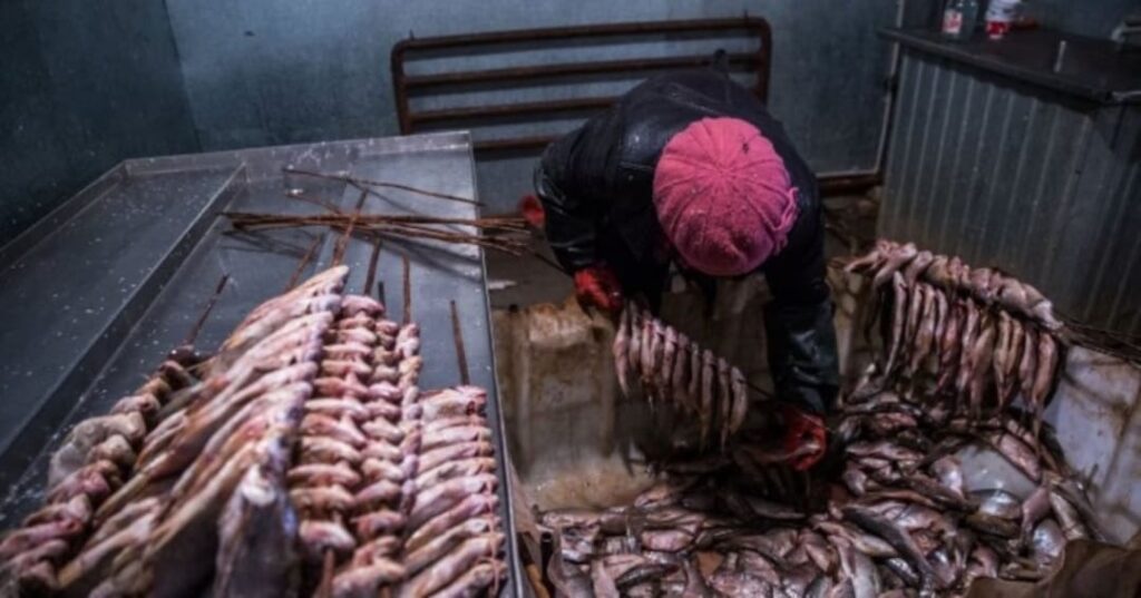 recuperación histórica del Mar de Aral Norte en Kazajistán