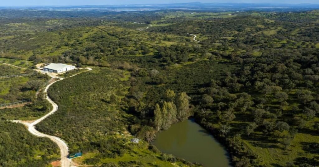 El primer santuario para elefantes de Europa abre en 2026 3 santuario para elefantes en Europa