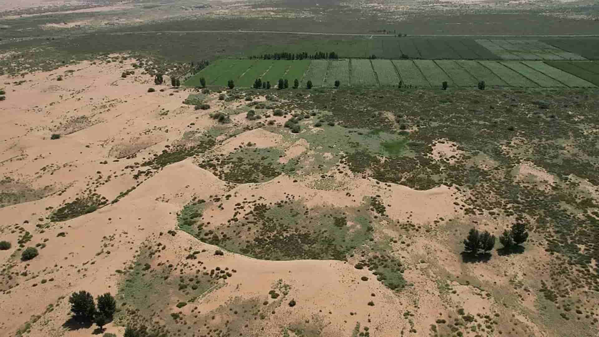 cinturón verde alrededor del desierto de Taklimakan