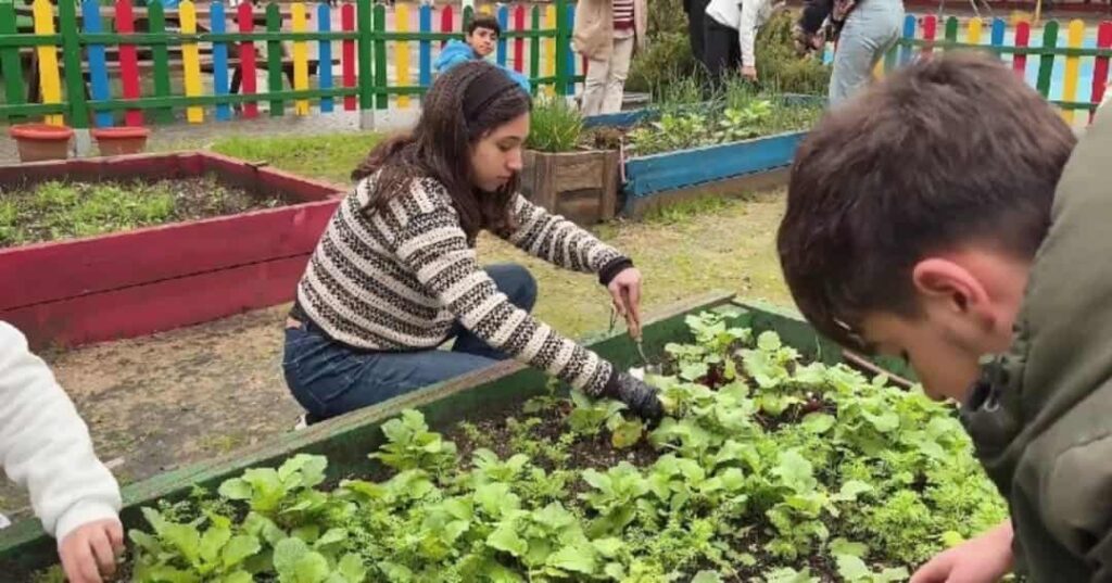 aplicación móvil para prevenir el acoso escolar