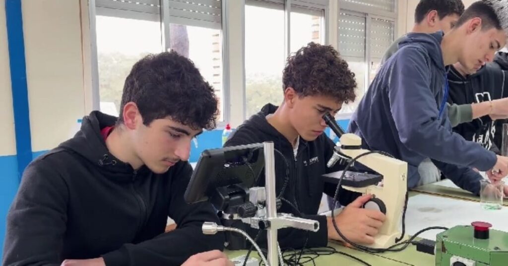 aplicación móvil para prevenir el acoso escolar