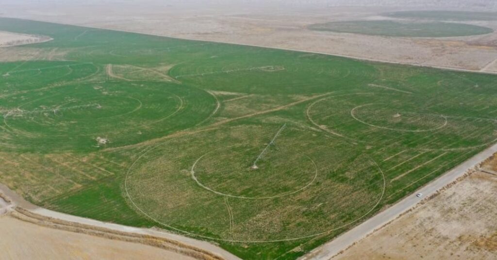 cinturón verde alrededor del desierto de Taklimakan
