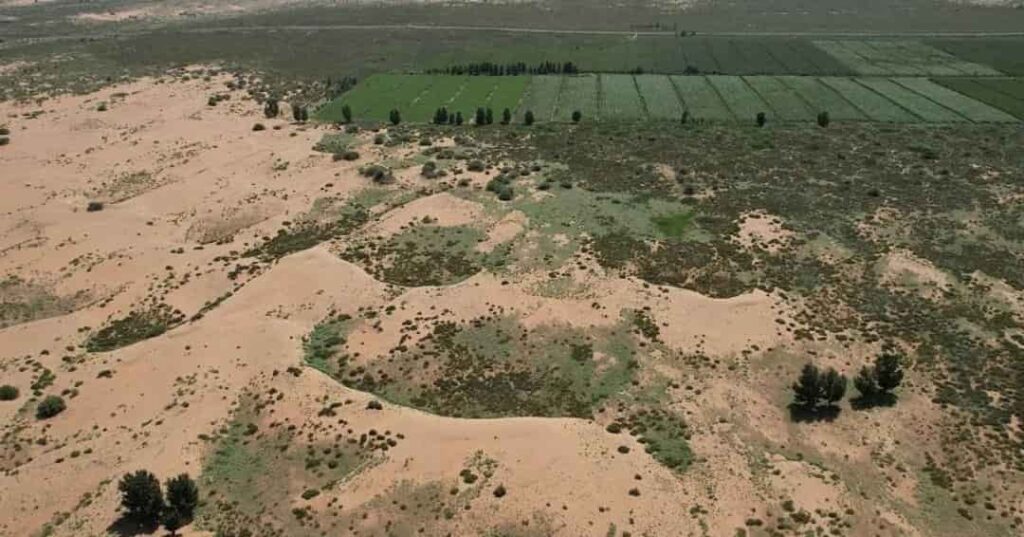 cinturón verde alrededor del desierto de Taklimakan