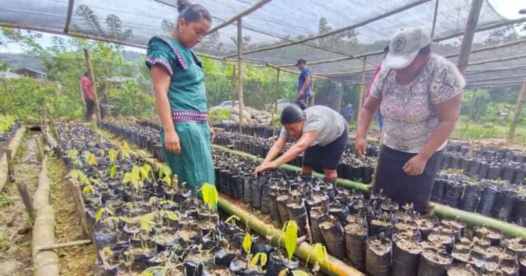 Palo Seco: donde la conservación la hacen las comunidades 1 conservación ambiental en el Bosque Protector Palo Seco
