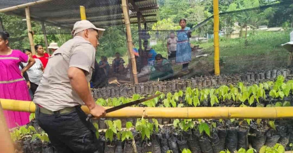 Palo Seco: donde la conservación la hacen las comunidades 6 conservación ambiental en el Bosque Protector Palo Seco