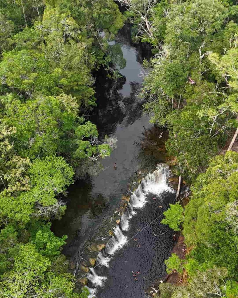 deforestación del Amazonas brasileño se redujo