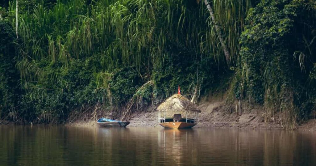 deforestación del Amazonas brasileño se redujo