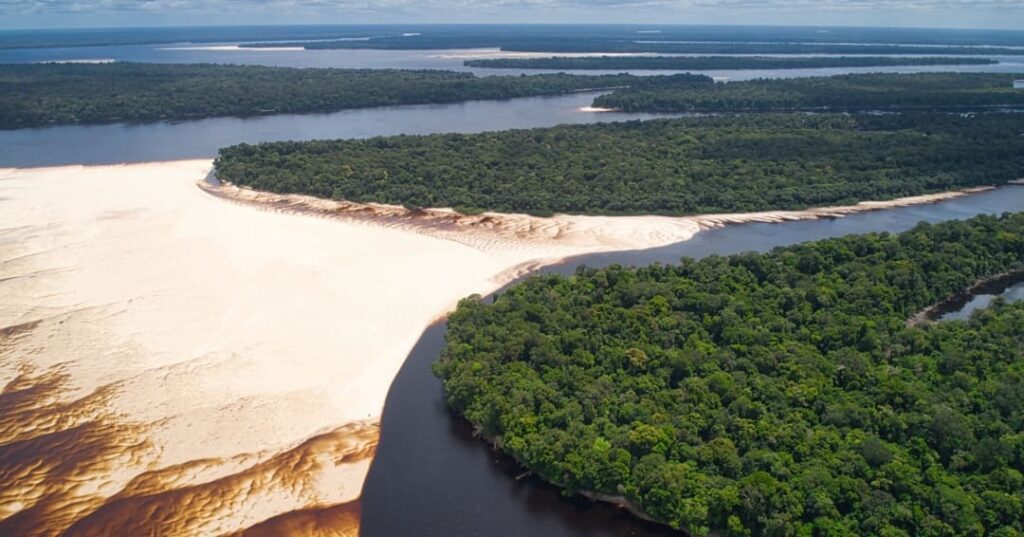 deforestación del Amazonas brasileño se redujo