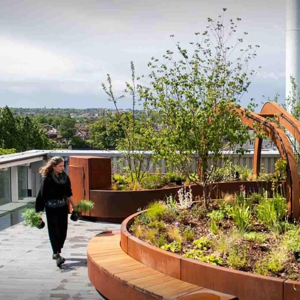El jardín en la azotea que está transformando los cuidados intensivos 3 jardín en la azotea de cuidados críticos