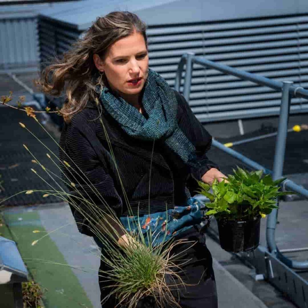 El jardín en la azotea que está transformando los cuidados intensivos 5 jardín en la azotea de cuidados críticos