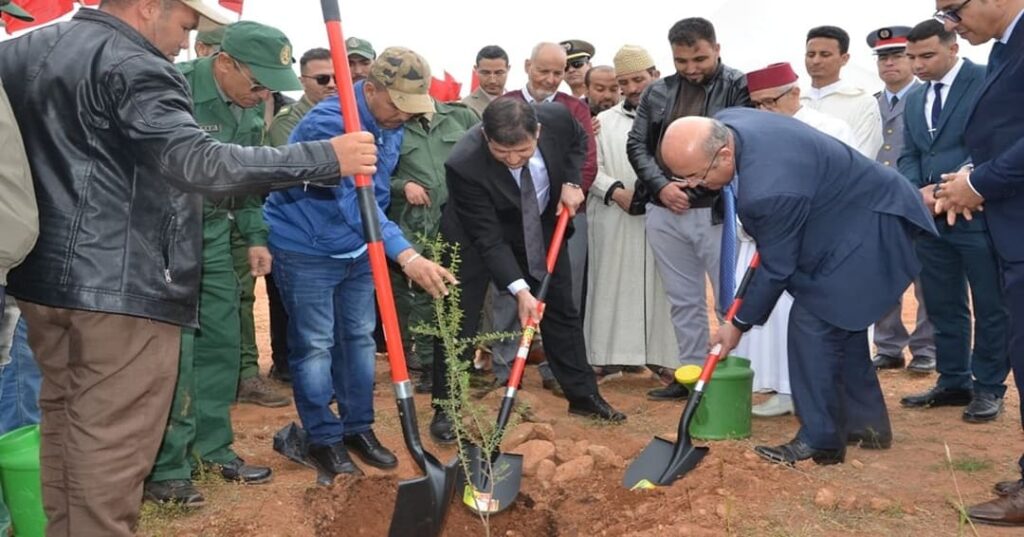 plan de reforestación de Marruecos