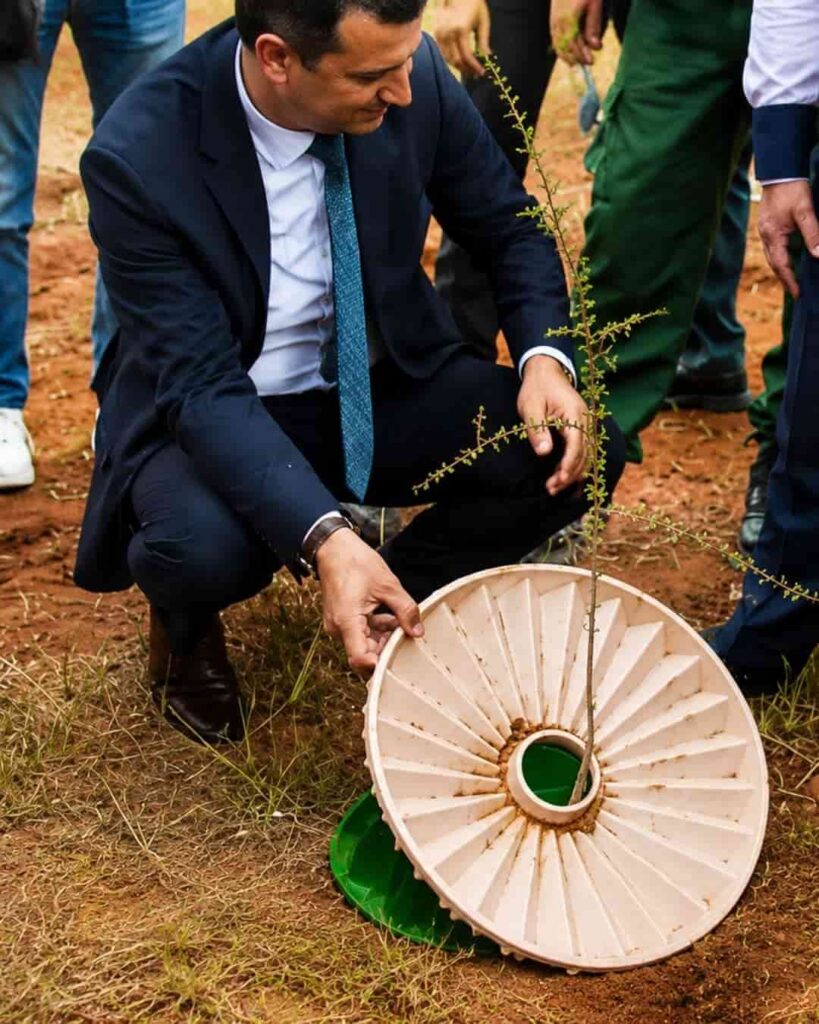 plan de reforestación de Marruecos
