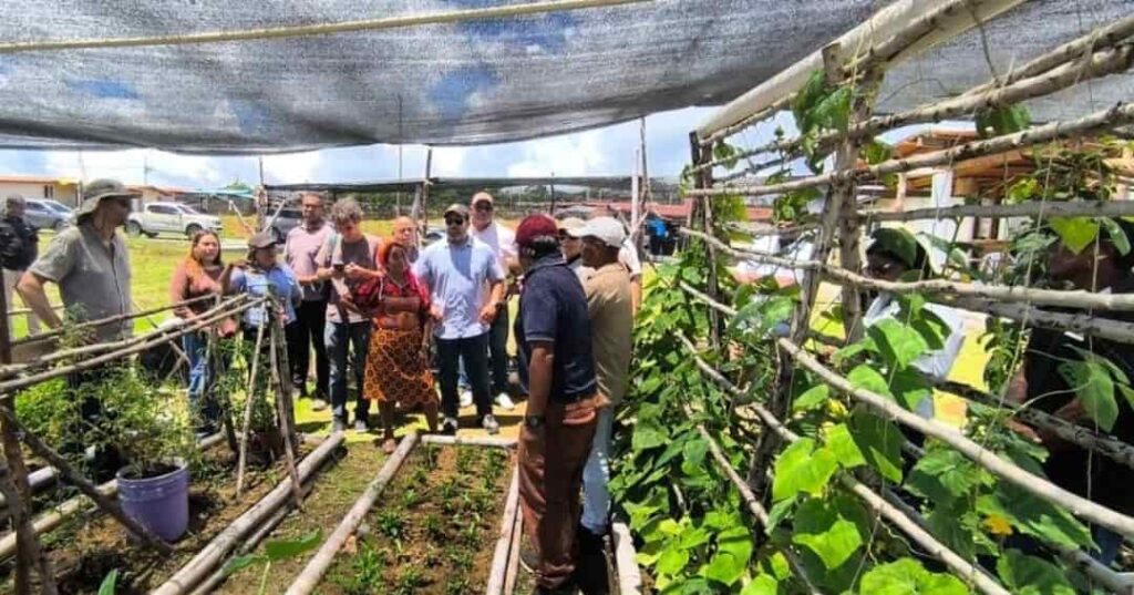 proyecto Francia-Panamá por la seguridad alimentaria