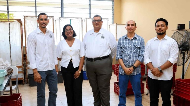 proyecto de bioconversión de residuos orgánicos