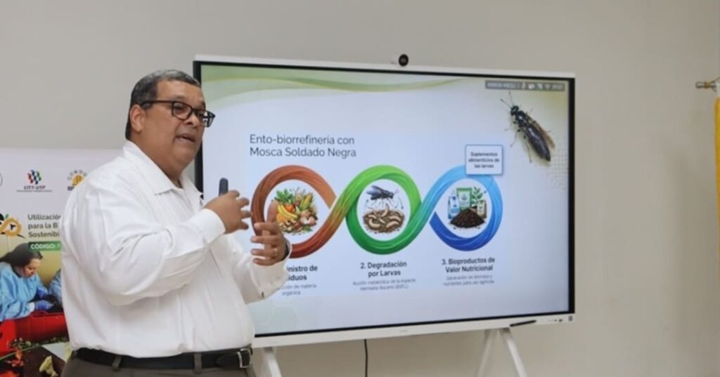 proyecto de bioconversión de residuos orgánicos