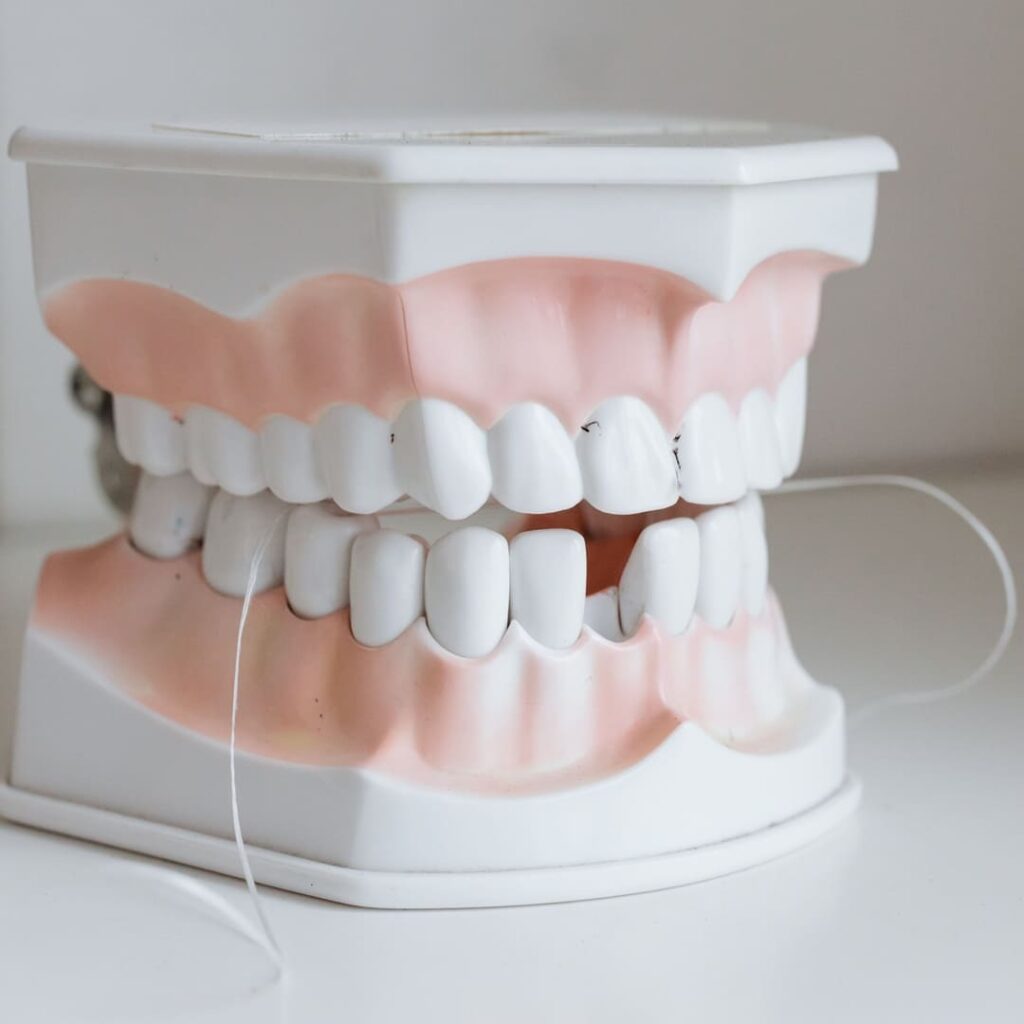 regeneración dental humana