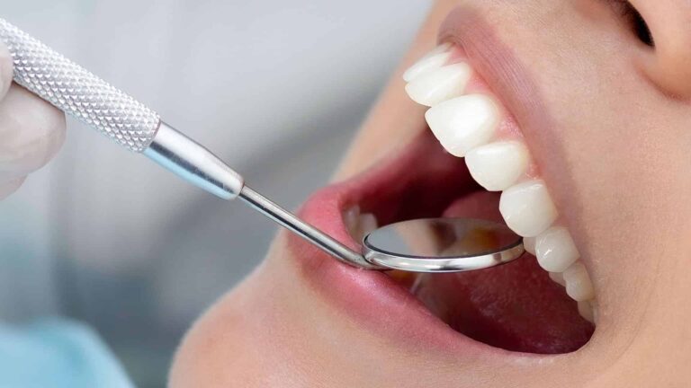 regeneración dental humana