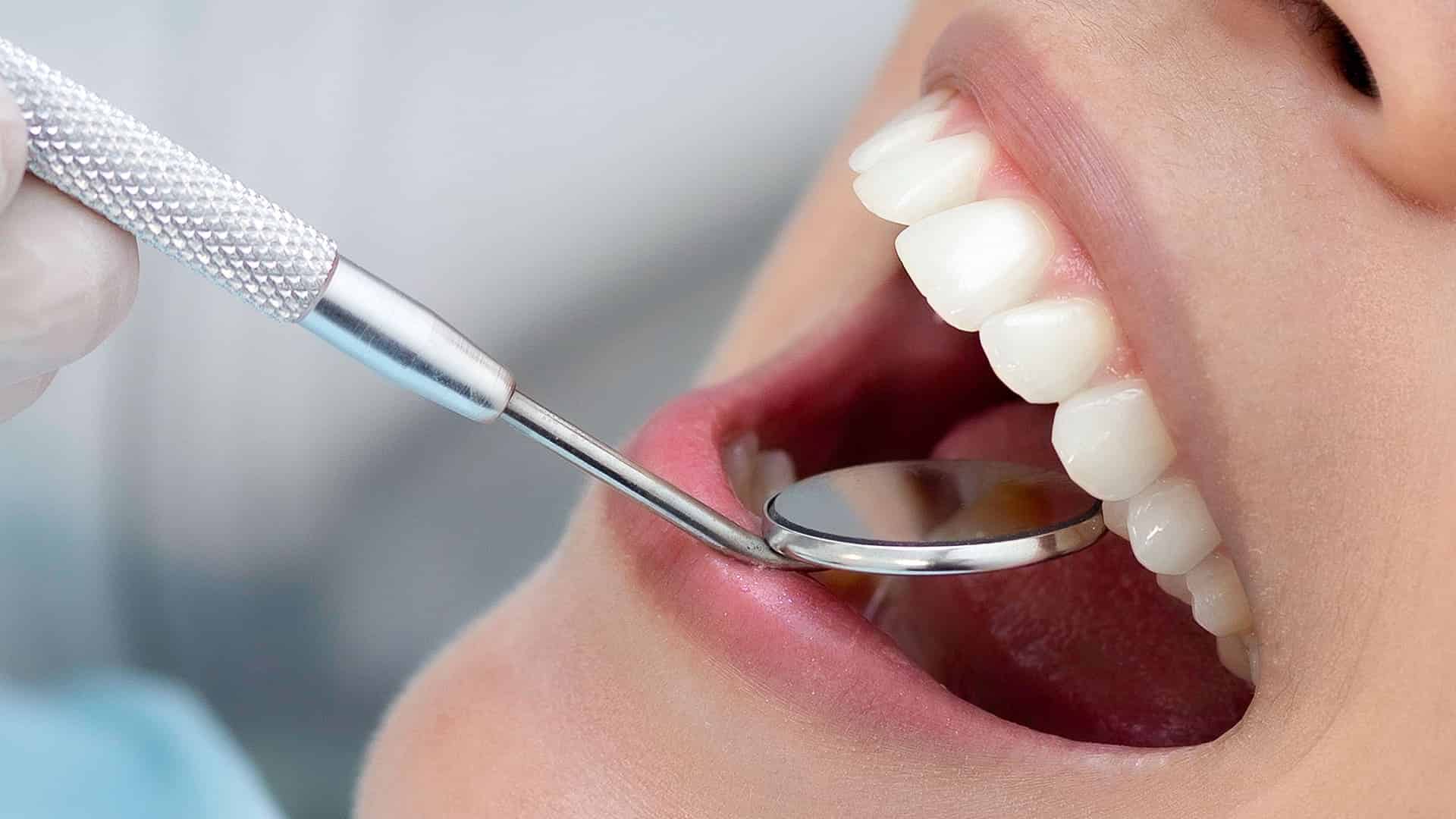 regeneración dental humana